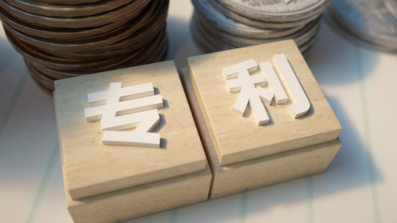 在复审期间，申请人可以继续进行以下活动：